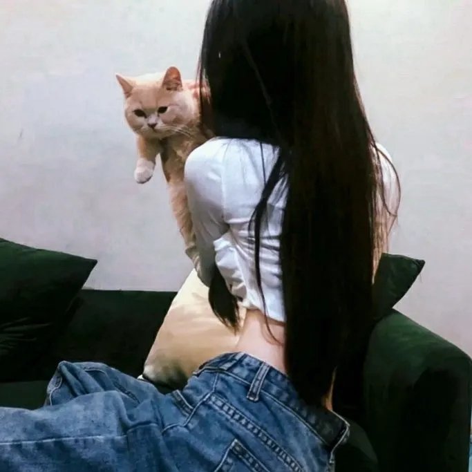 玉屏风